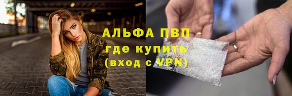 стафф Арсеньев