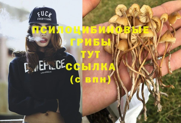 MDMA Армянск