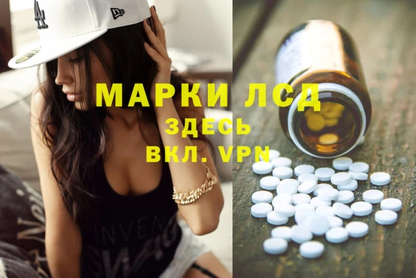 Альфа ПВП Аркадак