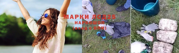 стафф Арсеньев