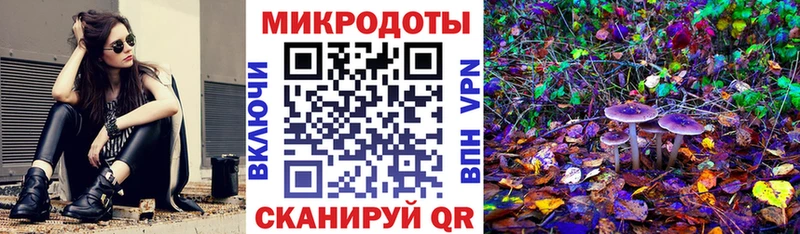 МЕГА ссылка  как найти   Дорогобуж  Галлюциногенные грибы Magic Shrooms 