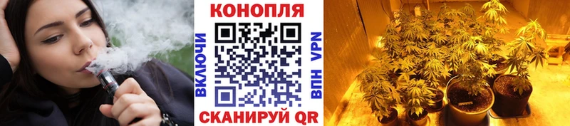 Бошки марихуана гибрид  Дорогобуж 